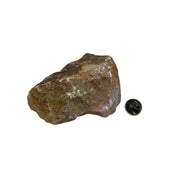 Ruby with Kyanite Rough - 5.5-8.25 inch