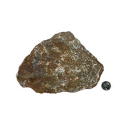 Ruby with Kyanite Rough - 5.5-8.25 inch
