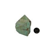 Inca Turquoise Top Polished Point - 2.75-3.0 inch