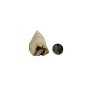 Mookaite Top Polished Point - 1.75-2.5 inch