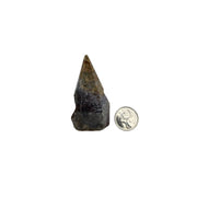 Fancy Jasper Top Polished Point - 2.0-3.0 inch