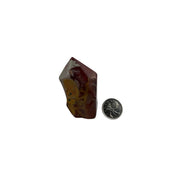 Noreena Jasper Top Polished Point - 1.5-2.75 inch