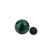 Malachite Sphere - 1.5-2.0 inch