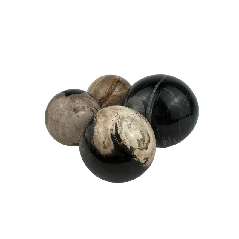 Petrified Wood Sphere - 2.0-2.5 inch