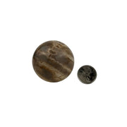 Petrified Wood Sphere - 2.0-2.5 inch
