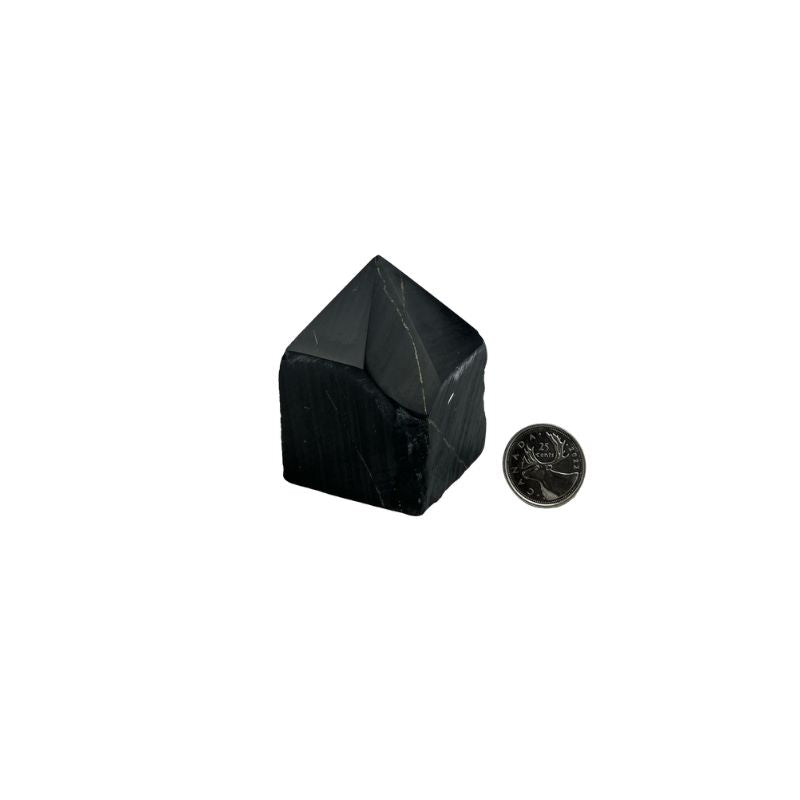 Black Onyx with Pyrite Top Polished Point - 2.75-3.0 inch