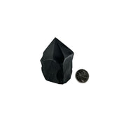 Black Onyx with Pyrite Top Polished Point - 2.75-3.0 inch