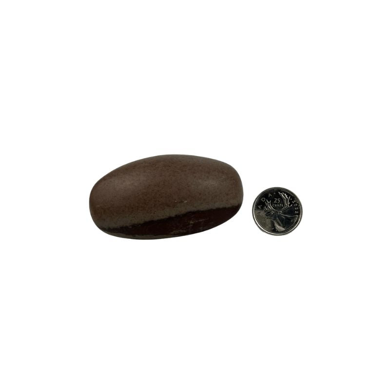 Shiva Lingam - 2.75-3.5 inch