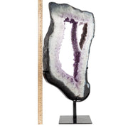 Amethyst Ring with Fine Druse on Metal Stand Specimen - 24.0 inch