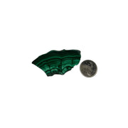 Malachite Polished Slice - 2.0-4.0 inch