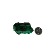 Malachite Polished Slice - 2.0-4.0 inch