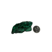 Malachite Polished Slice - 2.0-4.0 inch
