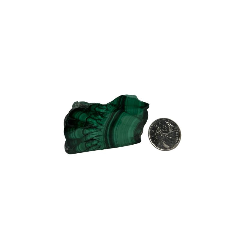 Malachite Polished Slice - 2.0-4.0 inch