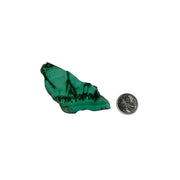 Malachite Polished Slice - 2.0-4.0 inch