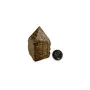 Aragonite Top Polished Point - 2.75-3 inch