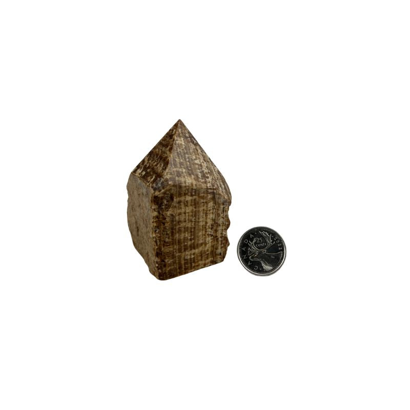 Aragonite Top Polished Point - 2.75-3 inch