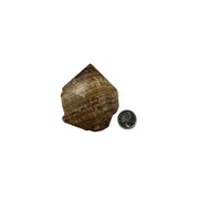 Aragonite Top Polished Point - 2.75-3 inch