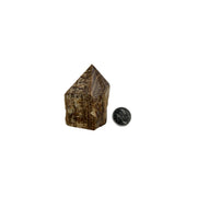 Aragonite Top Polished Point - 2.75-3 inch