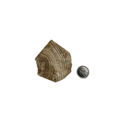 Aragonite Top Polished Point - 2.75-3 inch