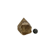 Aragonite Top Polished Point - 2.75-3 inch