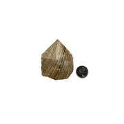 Aragonite Top Polished Point - 2.75-3 inch