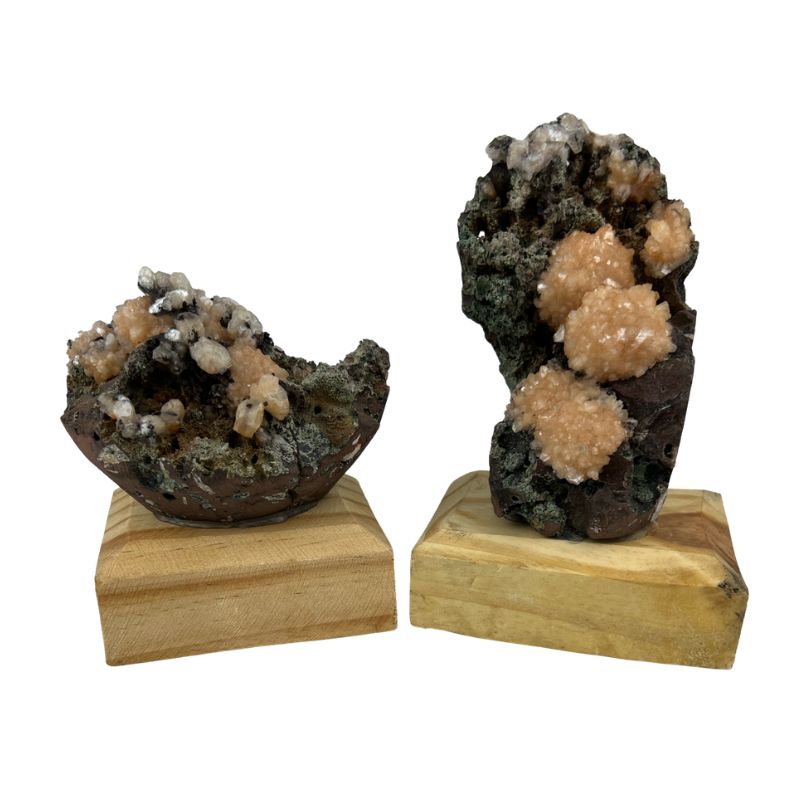 Stilbite Flower on Matrix on Wood Base Specimen - 2.75-4.5 inch