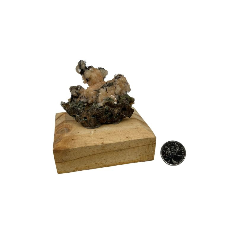 Stilbite Flower on Matrix on Wood Base Specimen - 2.75-4.5 inch