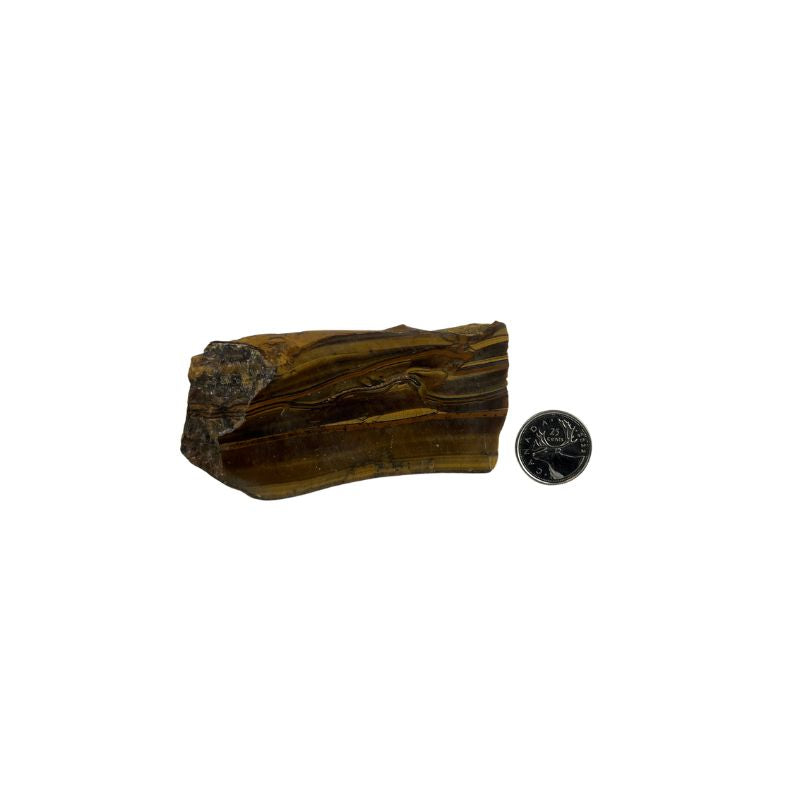 Tiger Eye Polished Slab - 3.75-5.75 inch