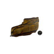 Tiger Eye Polished Slab - 3.75-5.75 inch