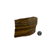 Tiger Eye Polished Slab - 3.75-5.75 inch