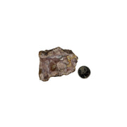 Pink Amethyst Flower Agate Slab - 2.25-4.75 inch