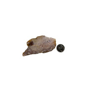 Pink Amethyst Flower Agate Slab - 2.25-4.75 inch