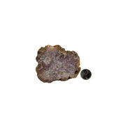 Pink Amethyst Flower Agate Slab - 2.25-4.75 inch