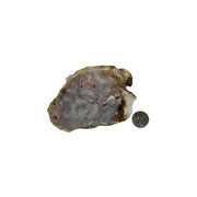 Pink Amethyst Flower Agate Slab - 2.25-4.75 inch