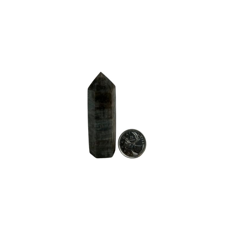 Thousand Layer Phantom Garden Amphibole Quartz Crystal Tower - 2.75-3.5 inch