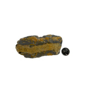 Bumblebee Jasper Slab - 3-6.25 inch