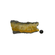Bumblebee Jasper Slab - 3-6.25 inch