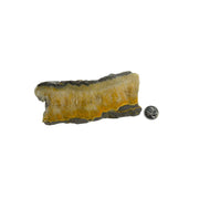Bumblebee Jasper Slab - 3-6.25 inch