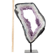 Amethyst Ring with Fine Druse on Metal Stand Specimen - 24 inch