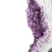 Amethyst Ring with Fine Druse on Metal Stand Specimen - 24 inch