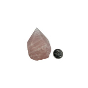 Rose Quartz Top Polished Point - 2.5-3.5 inch