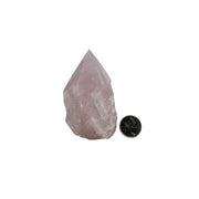 Rose Quartz Top Polished Point - 2.5-3.5 inch
