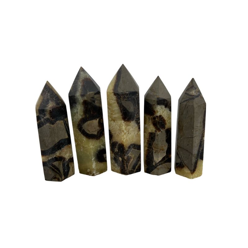 Septarian Crystal Tower - 3.0-3.25 inch
