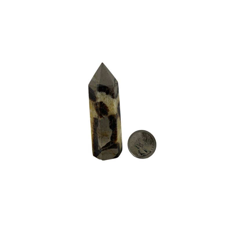 Septarian Crystal Tower - 3.0-3.25 inch