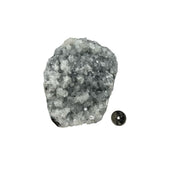 Apophyllite Cluster Free Standing Specimen - 5.0-6.25 inch