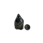 Quartz with Black Tourmaline Top Polished Point - 2.25-3.0 inch