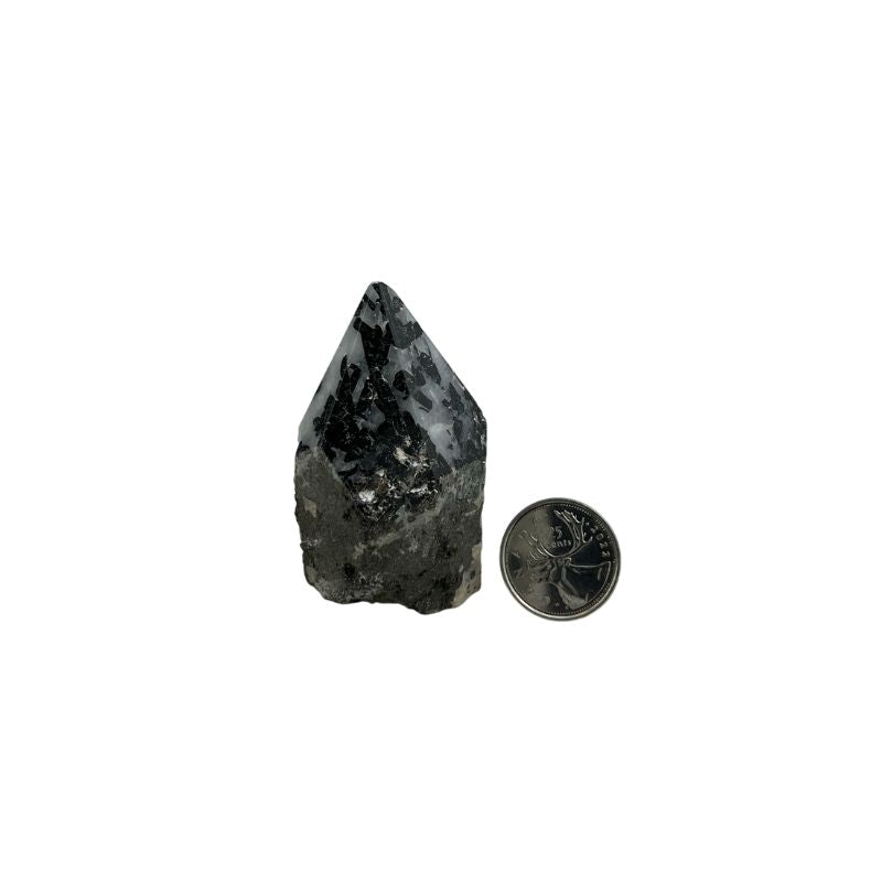 Quartz with Black Tourmaline Top Polished Point - 2.25-3.0 inch