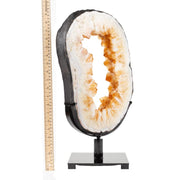 Citrine Ring on Metal Stand Specimen - 19.5 inch