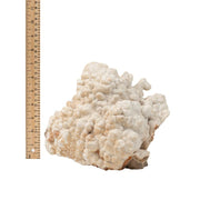 Botryoidal Aragonite Formation Specimen - 8.5-15 inch