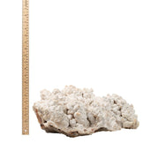 Botryoidal Aragonite Formation Specimen - 8.5-15 inch